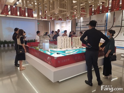 金鷹世界怎么樣?看現(xiàn)場(chǎng)置業(yè)顧問發(fā)布了5條項(xiàng)目新消息!